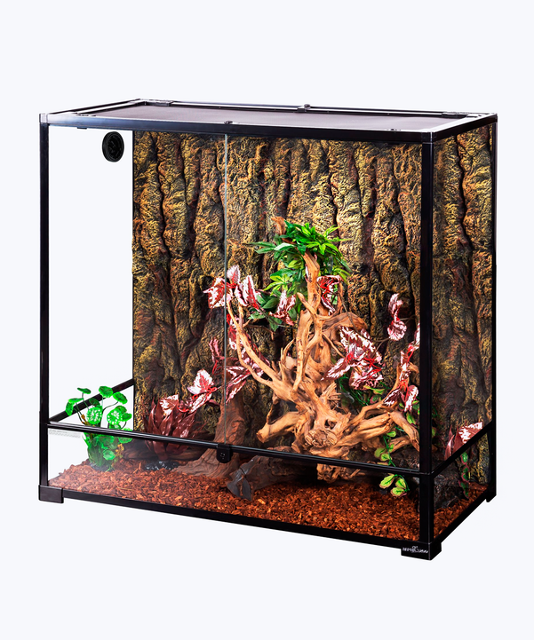 Medium aquarium