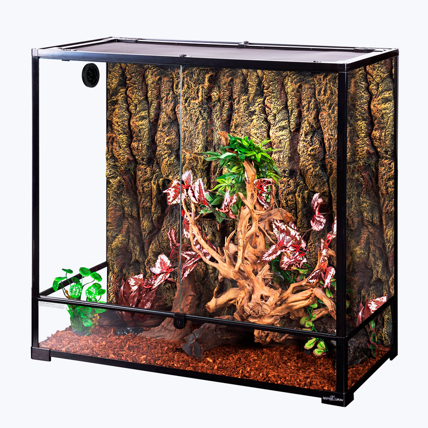 Medium aquarium