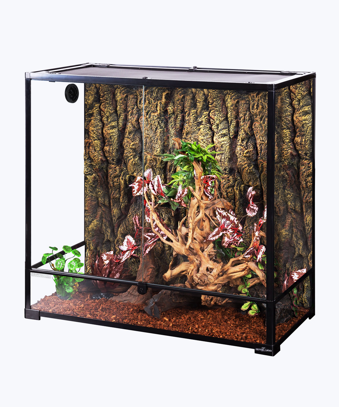 Medium aquarium