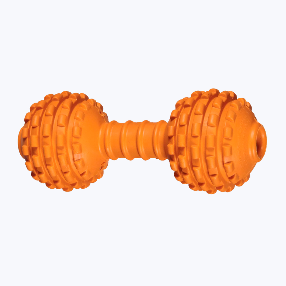 Dumbbell toy for dog