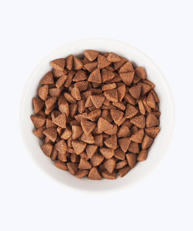 Food for puppy