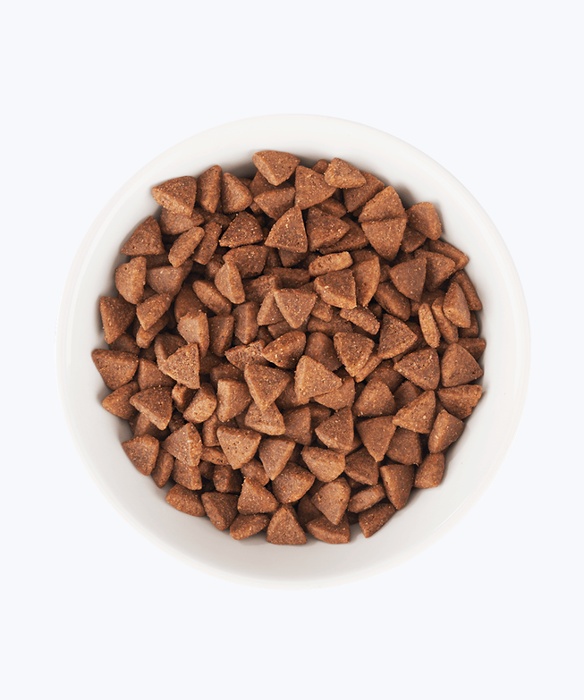 Food for puppy