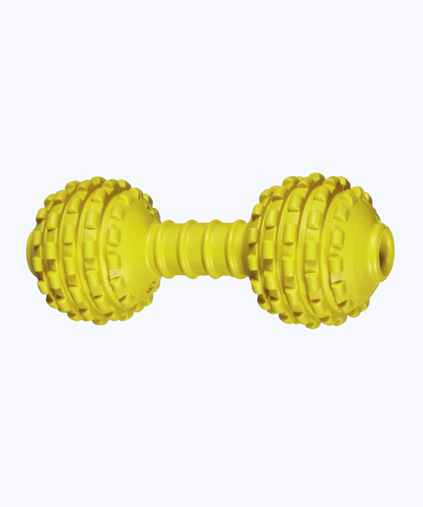 Dumbbell toy for dog