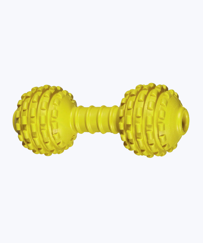 Dumbbell toy for dog