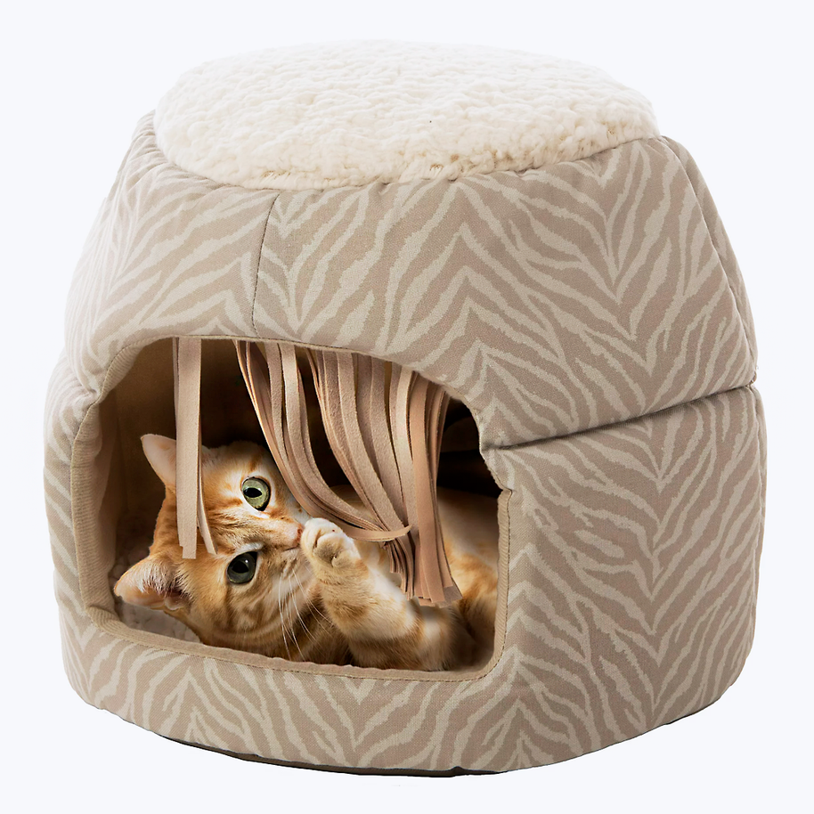 Indoor cat/dog house