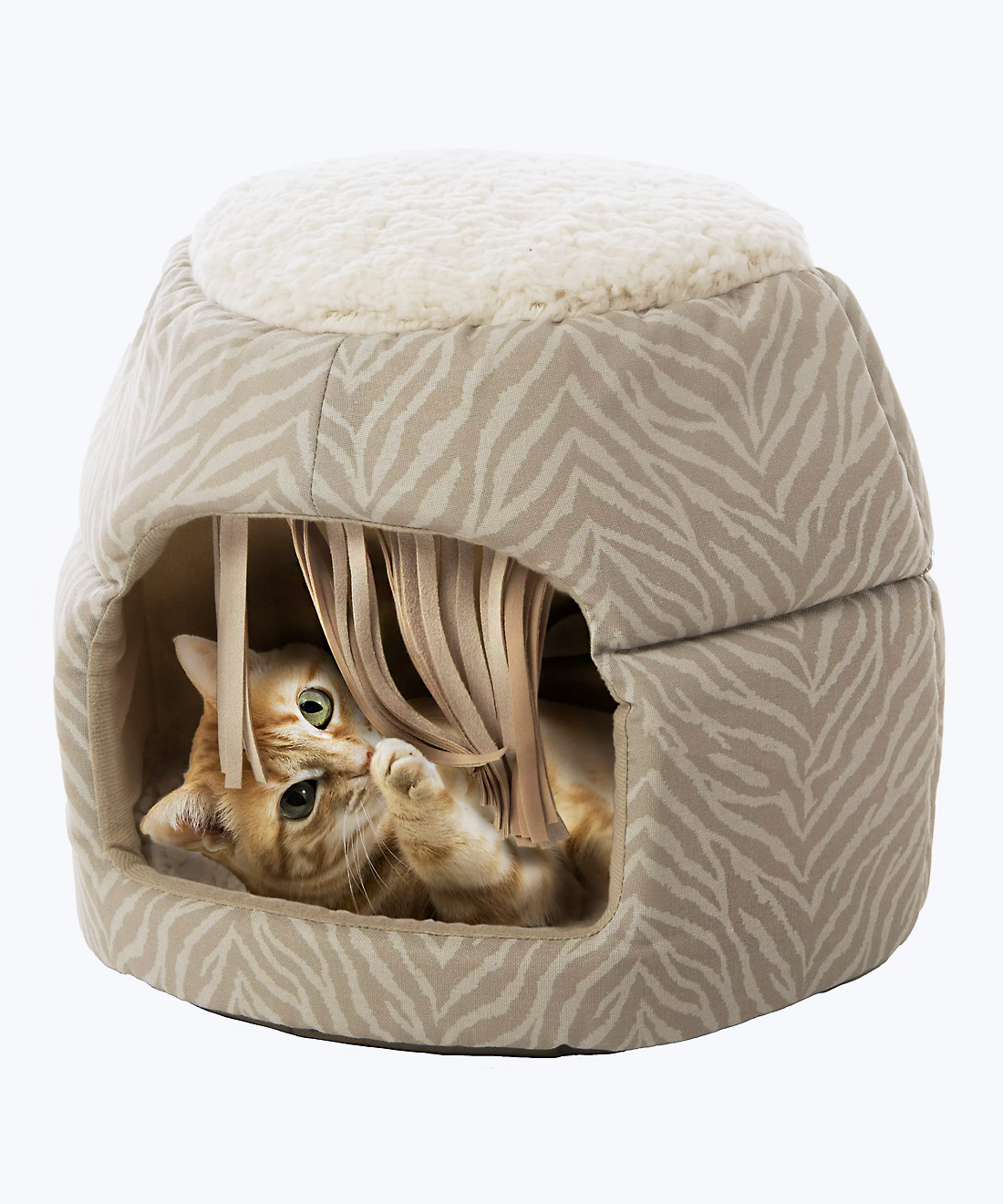 Indoor cat/dog house
