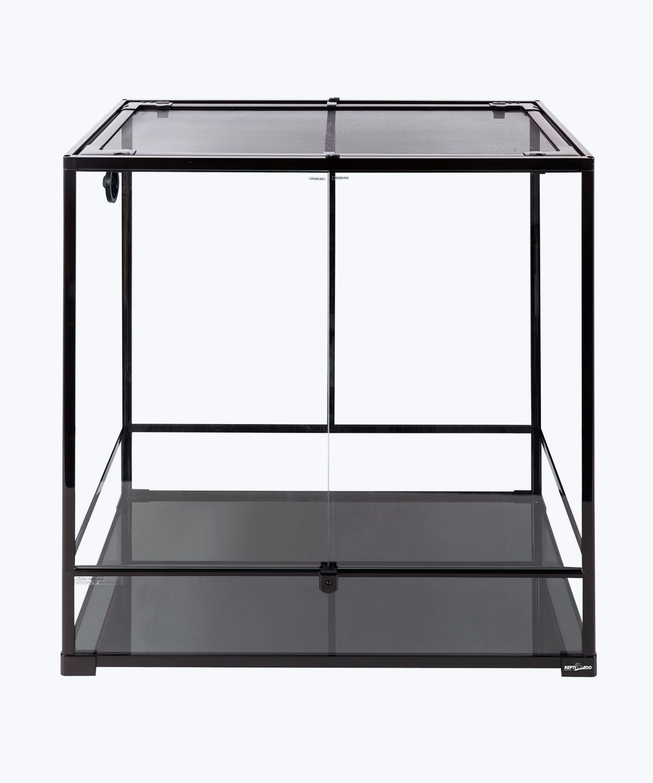 Medium aquarium