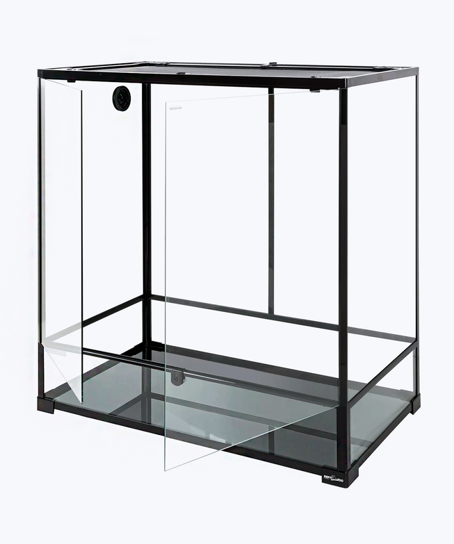 Medium aquarium