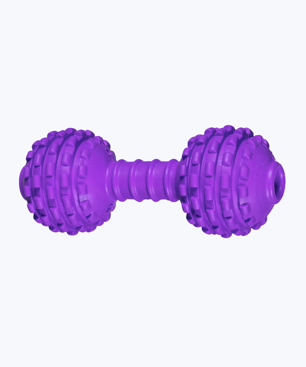 Dumbbell toy for dog