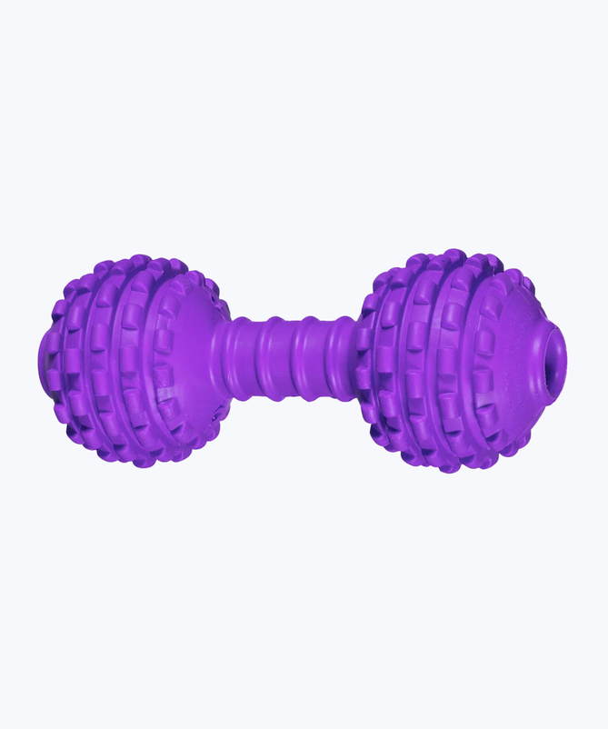 Dumbbell toy for dog