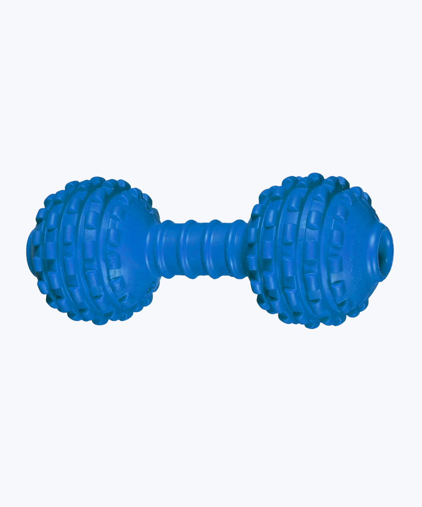 Dumbbell toy for dog