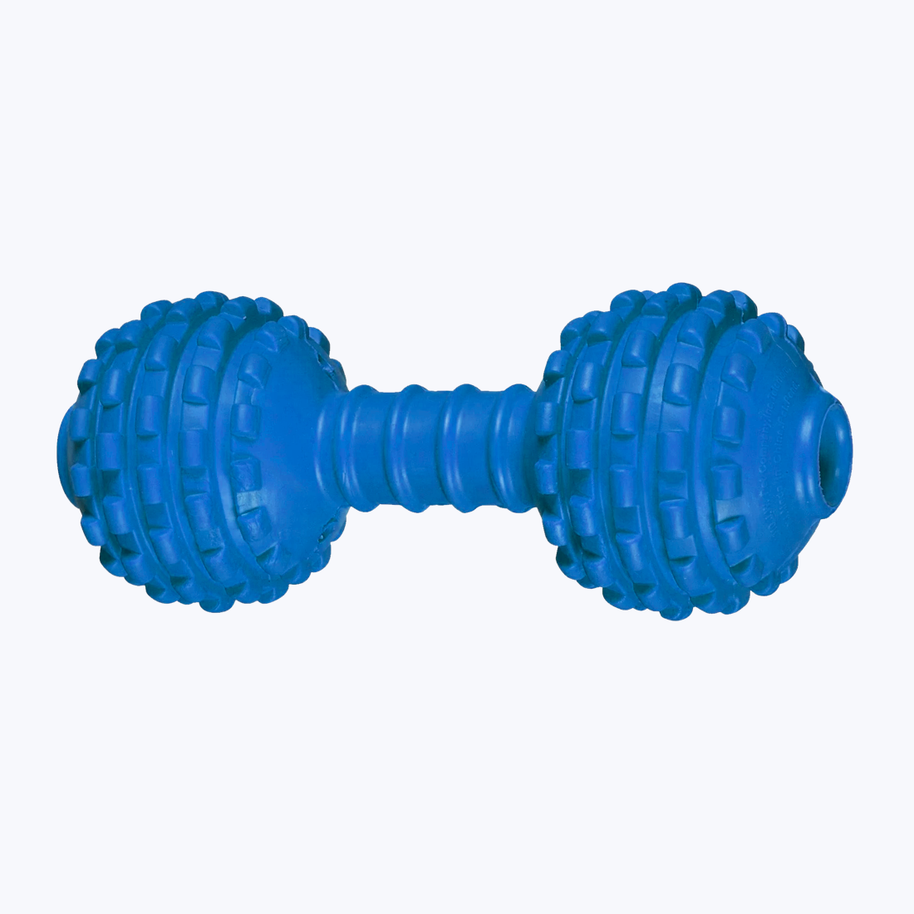 Dumbbell toy for dog
