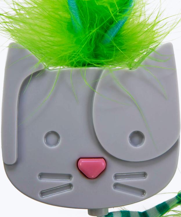 Teaser for cat