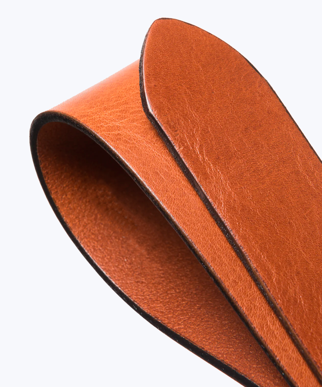 color-saddle-brown