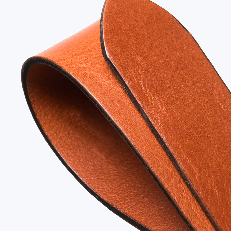 color-saddle-brown