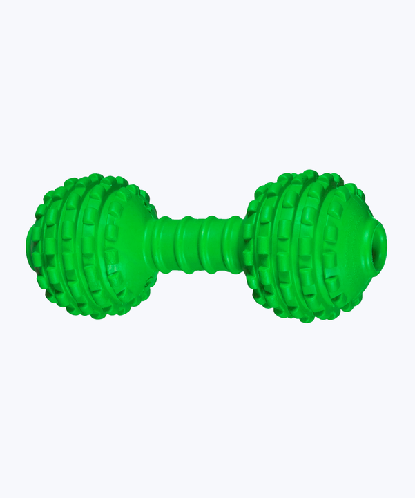 Dumbbell toy for dog