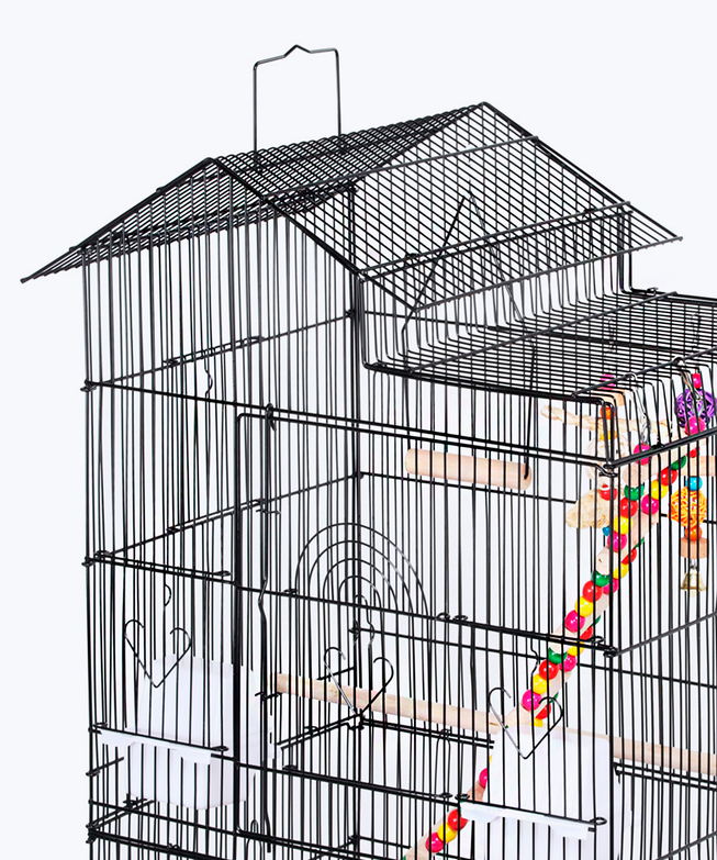 Large birdcage